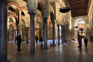 Cordoba Highlights Full-Day Tour from Granada