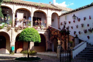 Cordoba Highlights Full-Day Tour from Granada