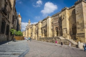 Costa del Sol: Full-Day Cordoba Tour