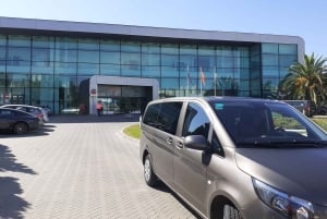 Costa del Sol: Traslado Privado de 1 Sentido de/para o Aeroporto de Málaga