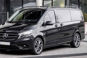 Costa del Sol: Traslado Privado de 1 Sentido de/para o Aeroporto de Málaga