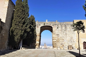 Costa del Sol: Private Tour to Antequera