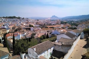 Costa del Sol: Privat tur til Antequera