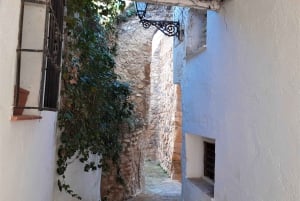 Costa del Sol: Private Tour to Antequera