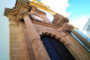 Z Malagi: prywatna wycieczka do Marbelli