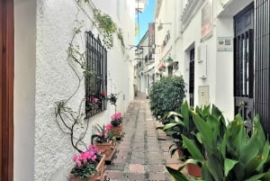 From Malaga: Private Tour in Marbella