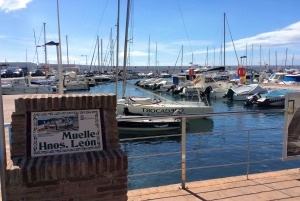 Z Malagi: prywatna wycieczka do Marbelli