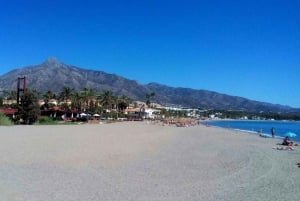 From Malaga: Private Tour in Marbella