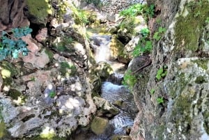 コスタ デル ソル：オヘンへのプライベート ツアー