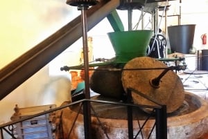 コスタ デル ソル：オヘンへのプライベート ツアー