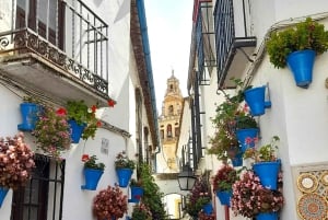 Costa del Sol: Private trip to Cordoba