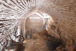 Costa del Sol: Private trip to Cordoba