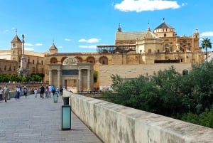 Costa del Sol: Private trip to Cordoba