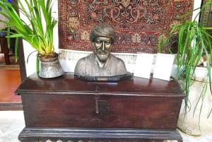 Costa del Sol: Private trip to Cordoba