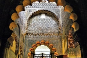 Costa del Sol: Private trip to Cordoba