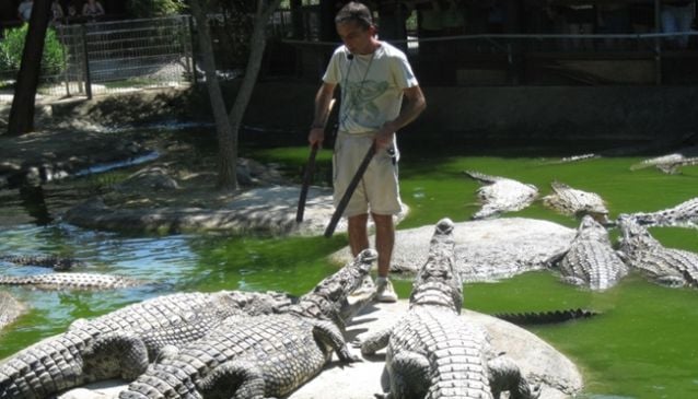 Парк крокодилов