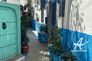 Day trip to Tangier Morocco from Malaga All inclusive