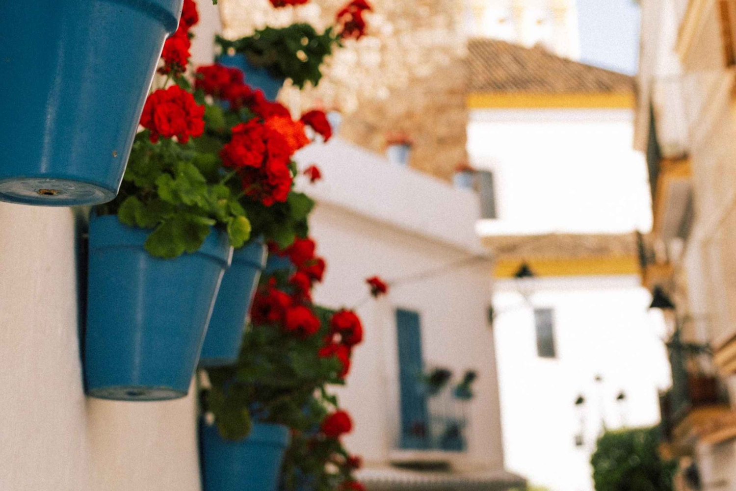 Oplev Marbellas gamle bydel med femstjernet privat rundvisning