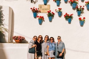 Discover Marbella's Old Town with five-star private tour