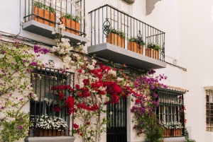 Discover Marbella's Old Town with five-star private tour