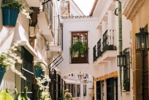 Discover Marbella's Old Town with five-star private tour