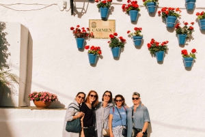 Oplev Marbellas gamle bydel med femstjernet privat rundvisning