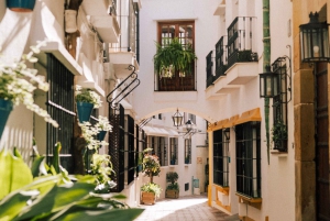 Oplev Marbellas gamle bydel med femstjernet privat rundvisning