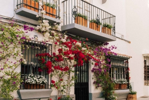 Oplev Marbellas gamle bydel med femstjernet privat rundvisning