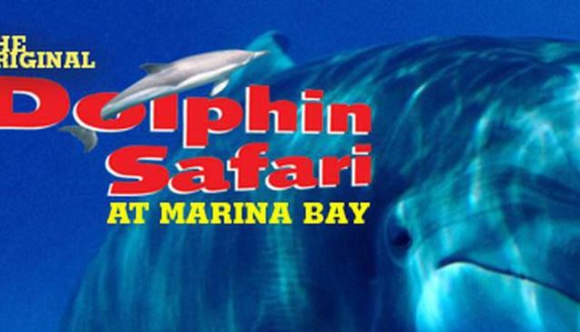 Safari per delfini a Marina Bay