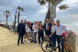 E-Bike Tour through Marbella/ Puerto Banús and San Pedro