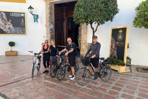 Recorrido en E-Bike por Marbella/ Puerto Banús y San Pedro
