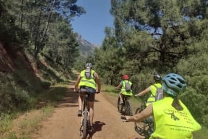 Bicicleta eléctrica de montaña en el parque nacional de la Sierra de las Nieves