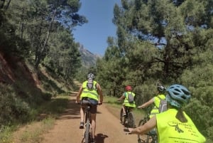 Mountain bike elétrica no parque nacional Sierra de las Nieves