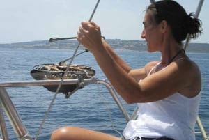 Estepona: Always private- Sail- dolphin Yacht Charter-paddle