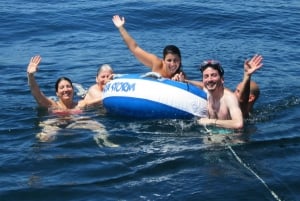 Estepona: Always private- Sail- dolphin Yacht Charter-paddle