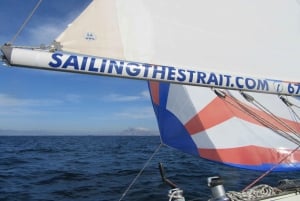 Estepona: Always private- Sail- dolphin Yacht Charter-paddle