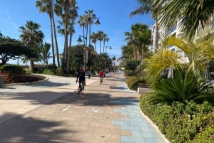 Estepona E-Bike Tour