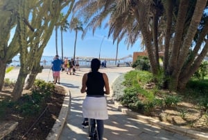 Estepona E-Bike Tour