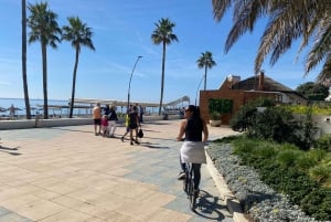 Estepona E-Bike Tour