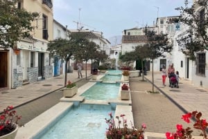 Estepona E-Bike Tour