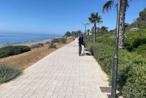 Estepona: Premium bike tour Estepona to Marbella 75 km