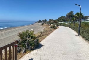 Estepona: Premium bike tour Estepona to Marbella 75 km