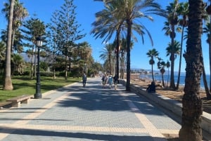 Estepona: Premium bike tour Estepona to Marbella 75 km