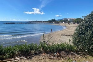 Estepona: Premium bike tour Estepona to Marbella 75 km