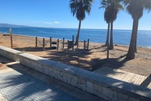 Estepona: Premium sykkeltur Estepona til Marbella 75 km