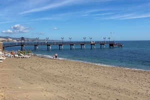 Estepona: Premium sykkeltur Estepona til Marbella 75 km