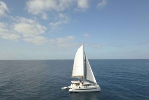 Exclusive private experience on a luxury catamaran