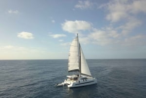Exclusive private experience on a luxury catamaran