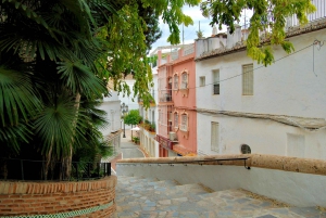 Explore Marbella Old Town: Guided Walking Tour With A Local