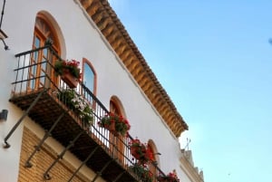 Explore Marbella Old Town: Guided Walking Tour With A Local